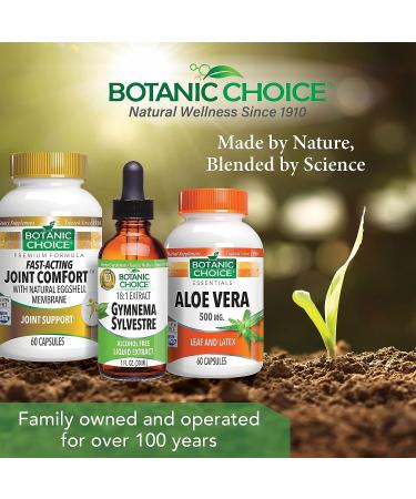 Botanic Choice Gymnema Sylvestre Liquid Extract - Natural Glucose Metabolism Support - Ayurvedic Herb - 1 oz - Buy Online on GoSupps.com