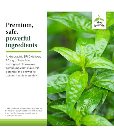 Terry Naturally Andrographis EP80 Extra Strength - Brain Health & Immune Support - Joint Health Support to Aid Mobility - Adaptogen Supplement for Energy & Liver Support - 60 Capsules (Pack of 2) - Buy Online on GoSupps.com