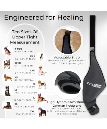 Ortocanis XXS Kniebandage f r Hunde Unterst tzung bei Kreuzbandverletzungen Patellaluxation & Osteoarthritis f r das rechte Hinterbein - Buy Online on GoSupps.com