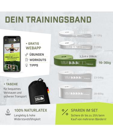 Wild Instincts Premium Resistance Straps - Strength Training Pull-Up Bands Set for CrossFit Stretching & Fitness - Includes Carry Bag & App - Buy Online on GoSupps.com