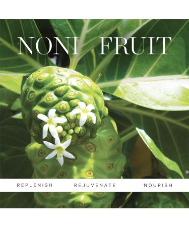 KORA Organics Noni Night AHA Serum - Organic Resurfacing & Smoothing | Cruelty-Free Skincare (1.01 fl oz - Buy Online on GoSupps.com