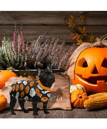 Buy Hipet Recovery Suit for Dogs & Cats - Post-Operation Wound Protection E-Neck Band Alternative Halloween Edition (S Size) - Buy Online on GoSupps.com
