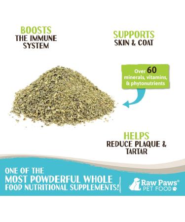 Raw Paws Organic Kelp for Dogs & Cats - 8oz Iodine-Rich Seaweed Powder Supplement for Thyroid Digestive & Immune Health - Buy Online on GoSupps.com