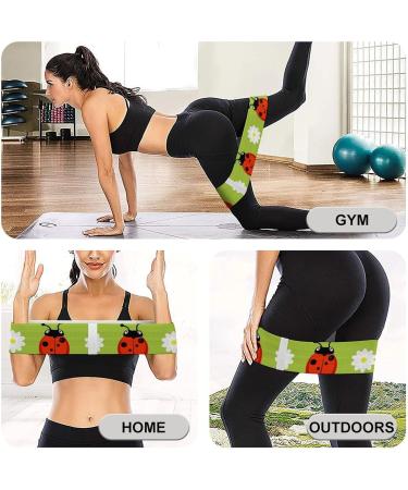 Ladybug & Flowers Yoga Workout Bands - Comfort Leg & Booty Resistance Straps for Physical Therapy | International Shipping Available - Buy Online on GoSupps.com