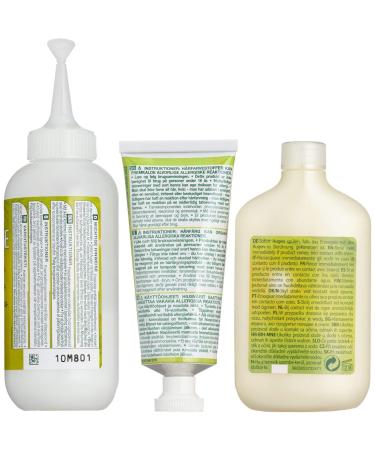 Garnier Nutrisse Creme Coloration 6N Nude Natural Dark Blond - Permanent Hair Color with Nourishing Oil - 1 Piece - Buy Online on GoSupps.com