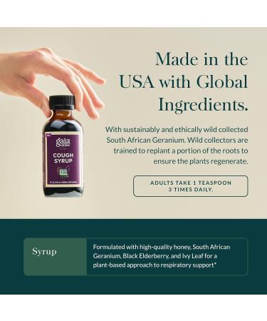 Gaia Herbs Cough Syrup Original - Soothes Occasional Dry Coughs - with Honey Ivy Leaf Black Elderberry - 4 Fl Oz - Buy Online on GoSupps.com