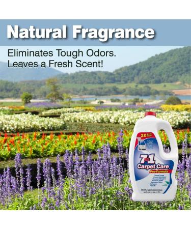 7in1 Pro Formula Carpet Care Solution - 4 Pack - Buy Online on GoSupps.com
