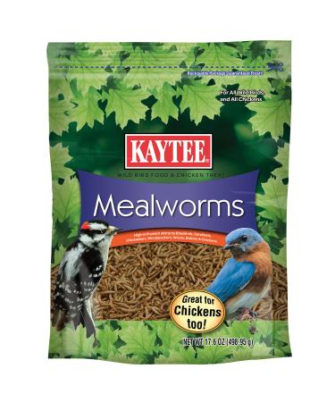 Kaytee Mealworm Food Pouch 17.6 Ounces Bird Food Mealworms