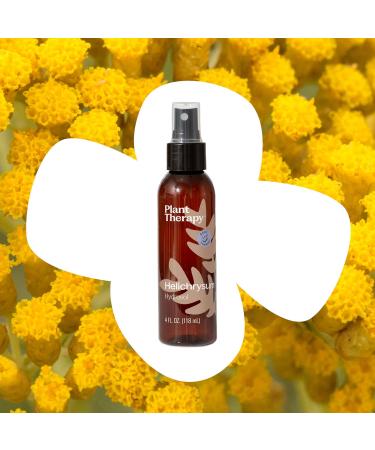 Plant Therapy Helichrysum Hydrosol 4 oz (Flower Water) By-Product of Essential Oils - Buy Online on GoSupps.com