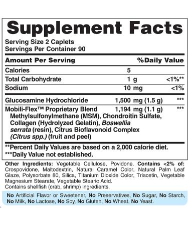 Puritan's Pride Glucosamine Chondroitin & MSM 2-per-Day Formula - Joint Support Supplement - Buy Online on GoSupps.com
