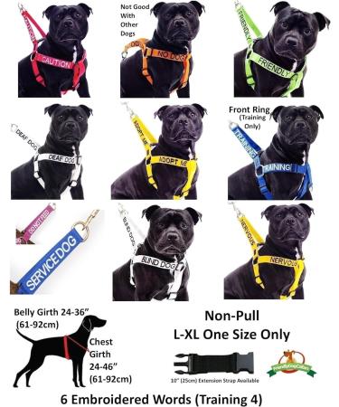 NERVOUS (Give Me Space) Yellow Colour Coded Non-Pull Front and Back D Ring Padded and Waterproof Vest Dog Harness PREVENTS Accidents By Warning Others Of Your Dog In Advance (M) Medium Harness - Buy Online on GoSupps.com