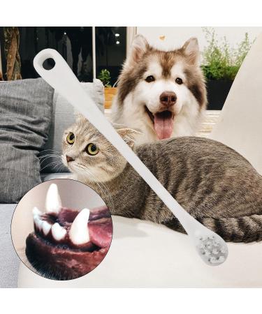 Gralara Pet Dental for Fresh Breath and Teeth - Oral Care Set for Small to Medium Pets White - Buy Online on GoSupps.com