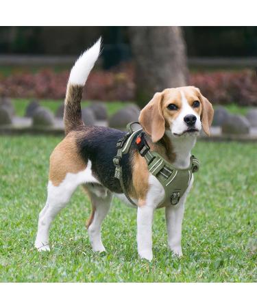 Heele Adjustable Dog Harness - Reflective Lockable Snap Anti-Train Green | Best for Running & Comfort (L: 43-86cm) - Buy Online on GoSupps.com