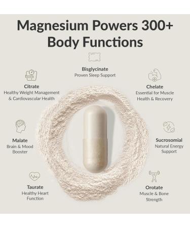 BiOptimizers MassZymes Digestive Enzymes - Probiotic Breakthrough Bundle Gut Health & Bloating Relief Prebiotic & Enzyme Support for Digestion, Energy, Immunity & Recovery 180 Vegan Capsules - Buy Online on GoSupps.com