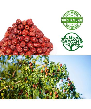 DOL American Packaged Red Dates High Nutrition Jujube Dates High Vitamin Red Dates Gourmet Candied Dates Snack Food Red Dates Dried Fruits Sweet Red Dates (Seedless Jujube 1LB/Bag*2) - Buy Online on GoSupps.com