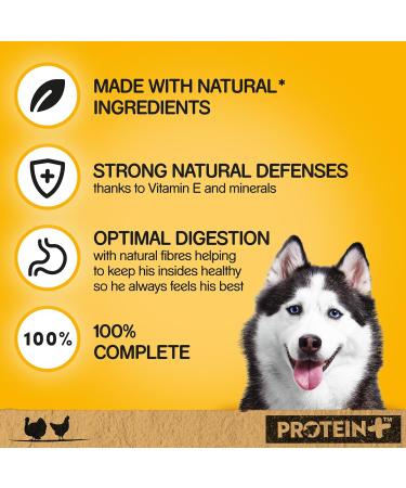 Pedigree Protein + P t with Turkey and Chicken Wet Dog Food 12 cans of 400 g - Buy Online on GoSupps.com