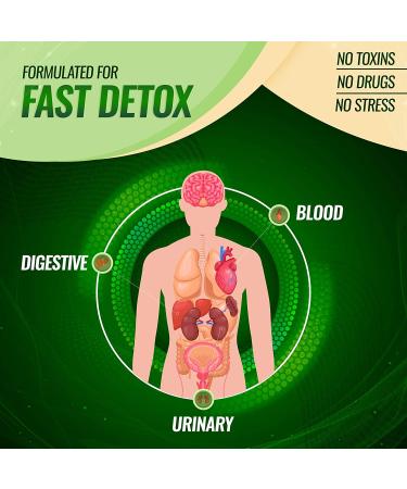 Natural 5-Day Detox Cleanse & Liver Support - Body Detoxifier with Milk Thistle Extract - 60 Capsules by Toplux Nutrition - Buy Online on GoSupps.com