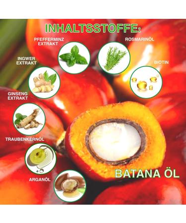  p-beauty Batana Oil Shampoo & Conditioner Set with Rosemary Sulfate Free - Promotes Hair Growth Moisturizes and Replenishes Strengthens Fine and Damaged Hair Fights - Buy Online on GoSupps.com