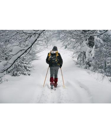 Men's Sesto Senso Cotton Long Underwear Set - Thermal Long-Sleeve Undershirt & Pants - 4XL Black - Winter Functional Wear - Buy Online on GoSupps.com