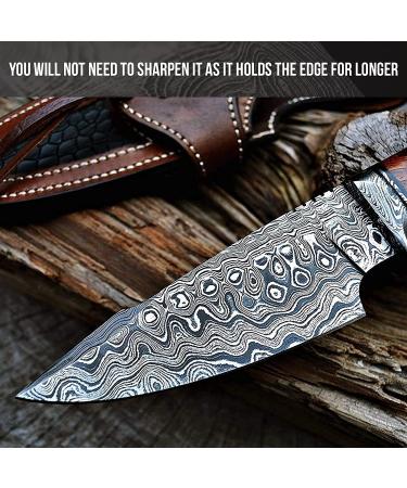 BigCat Handmade Damascus Hunting Knife with Sheath - 10' Fixed Blade Walnut Handle | EDC Survival Knife for Men - Buy Online on GoSupps.com