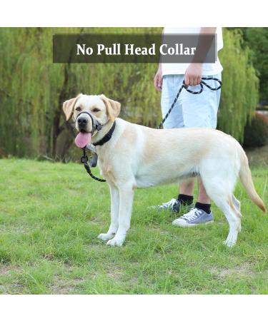 Premium No-Pull Dog Halter - Soft Upholstery Durable Design for Medium & Large Dogs - Snout 18-25.9 cm - Includes Training Instructions - Buy Online on GoSupps.com