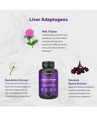 Naturalis Silymarin Milk Thistle 1300mg Enhanced with B Complex & Amino Acids | 13-in-1 Liver Cleanse Detox & Repair | 120 Liver Essential Softgels 120 Count (Pack of 1) - Buy Online on GoSupps.com