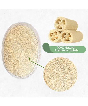 Exfoliating Loofah Pad Body Scrubber - 100% Natural Luffa & Terry Cloth | Spa-Quality Shower Sponge for Men & Women | Cellulite Massage Tool - Buy Online on GoSupps.com