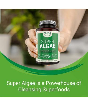 Organic Spirulina & Chlorella Vegan Capsules: Blue Green Algae Powder Supplement for Energy, Immune System & Gut Health - Non-GMO - Buy Online on GoSupps.com