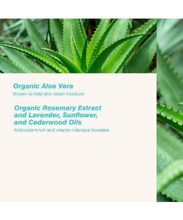 Coola ER Rad. Rec. After-Sun Lotion 180ml - Soothing Hydrating SPF Protection for Skin | Shop Internationally! - Buy Online on GoSupps.com