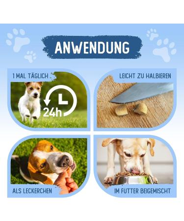 Animal Power Joint Tablets for Dogs - Made in Germany - Green Lipped Mussel & Teufel's Claw - 100 Bone & Joint Protection Tablets - Buy Online on GoSupps.com
