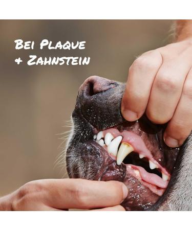 Sollis Dental Powder for Dogs | Natural Dental Care & Fresh Breath | Tartar & Bad Breath Control | 500g Dog Tooth Powder for Healthy Oral Flora - Buy Online on GoSupps.com