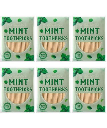 600 Pcs Mint Toothpicks Bulk Flavor Menthol Toothpicks Wood Flavored Toothpicks for Adults Natural Wooden Tooth Pick for Humans Teeth Oral Dental Health