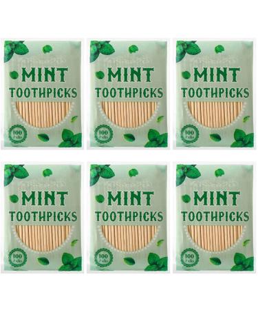 600 Pcs Mint Toothpicks Bulk Flavor Menthol Toothpicks Wood Flavored Toothpicks for Adults Natural Wooden Tooth Pick for Humans Teeth Oral Dental Health