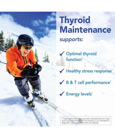 Patient One Thyroid Maintenance | Supplement to Support Thyroid Function and Energy Levels* | with Vitamin B12 Ashwagandha and More | 90 Capsules - Buy Online on GoSupps.com