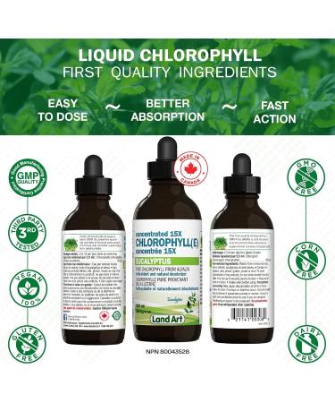 Liquid Chlorophyll Drops Eucalyptus 15X Concentrated 100ml - Detox - Alkaline - Natural Body Deodorant Antioxidant - Cold Extracted from Non-GMO Alfalfa - Made in Canada - Buy Online on GoSupps.com