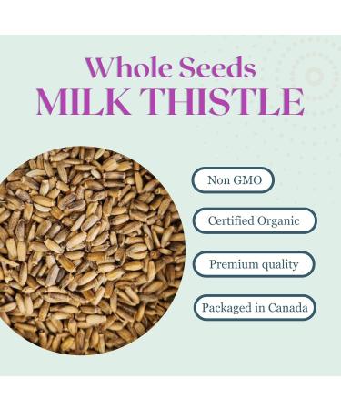 Organic Milk Thistle Seeds 500g Whole Seeds Premium Silybum Marianum (Blessed Thistle) Silymarin Seeds Herbal Tea & Culinary Use Loose Thistle Seeds | DRAGONFLY HERBS - Buy Online on GoSupps.com