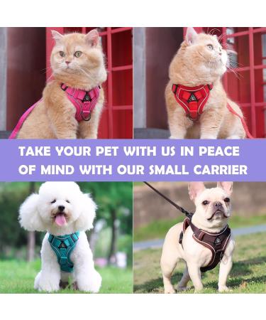 Buy Tikxlafe Adjustable Cat Dishes with 150cm Leash - Pink Cat Linen Set for Kittens - Buy Online on GoSupps.com