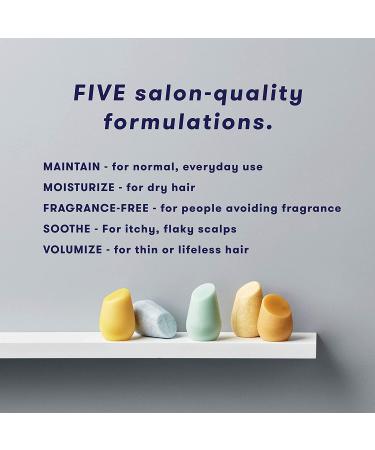 HiBAR Maintain Shampoo - Sulfate-Free, All Natural, Color Safe & Eco-Friendly for NormalOily Hair - Buy Online on GoSupps.com