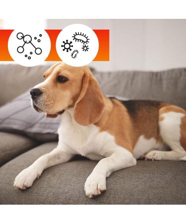Oa Sofa Protector Spray 250ml | 100% PFC Free & Vegan | Effective Textile & Upholstery Impregnation | Nano Spray for Sofas - Buy Online on GoSupps.com