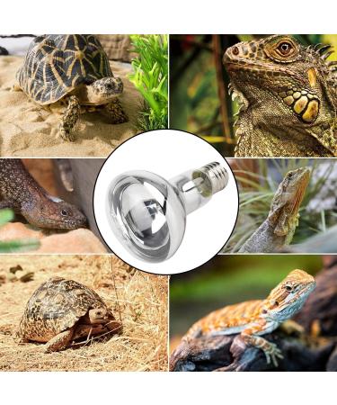 ANCLLO 2pcs Transparent Reptile Heating Bulbs Durable Infrared Heat Lamp Warming Light Bulb Pet Light for Reptile and Amphibian Lizard Tortoise Spider Snake Chameleon 220-230V(75W) - Buy Online on GoSupps.com