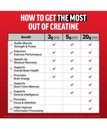 Force Factor Creatine Monohydrate Powder 5g Micronized Dose to Support Muscle Growth Strength Recovery Cognitive Health & Working Memory Raspberry Lemonade 100 Servings - Buy Online on GoSupps.com