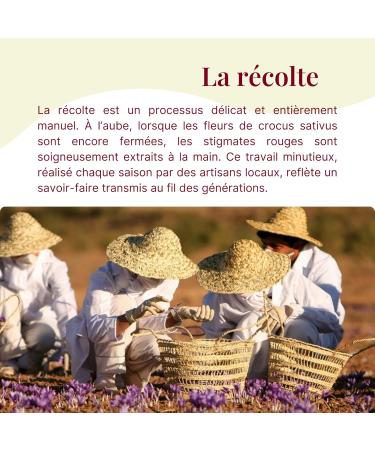  G n rique Premium Saffron Threads 1g - 100% Pure and Natural - Superior Quality Spice - Ideal for Cooking Infusions and Baking - Buy Online on GoSupps.com