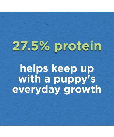 Purina Puppy Chow Dry Puppy Food Complete with Real Chicken - 6.5 kg Bag 6.5 kg (Pack of 1) - Buy Online on GoSupps.com