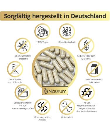 Naurum Niacin (Vitamin B3) 50mg - High-Dose Inositol Hexanicotinate - 60 Vegan Capsules - Flush-Free No Additives - Made in Germany - 2-Month Supply - Buy Online on GoSupps.com
