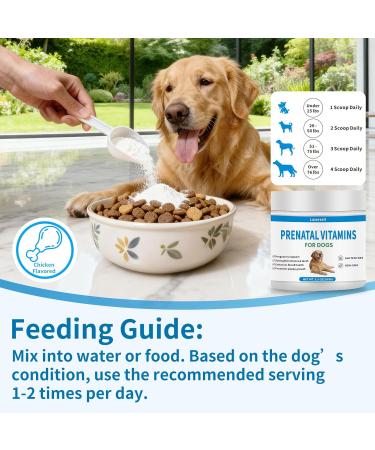 Prenatal Vitamins for Dogs - Aids Healthy Gestation Puppy Development & Milk Production - Packed with Folic Acid Calcium Iron & Key Vitamins - Ideal for Pregnant and Nursing Canines - Buy Online on GoSupps.com