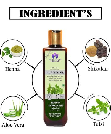 Blessfull Healing Organic Natural Hair Cleanser | Shampoo 200 ML (Packing May Vary) - Buy Online on GoSupps.com