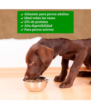 Yerbero Nature Adult Premium Food for Dogs 10 kg - Buy Online on GoSupps.com
