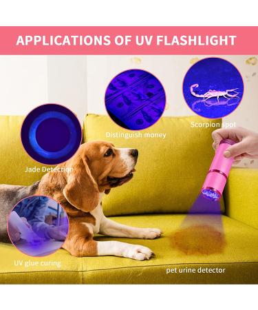 Mini UV Nail Lamp for Gel Nails | Portable 9 LED Nail Dryer & French Nail Stamper (Pink) - Buy Online on GoSupps.com