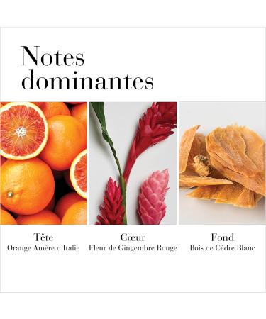 Buy Elizabeth Arden White Tea Gingerlily Body Cream 400ml - Hydrating & Refreshing | International Shipping Available - Buy Online on GoSupps.com