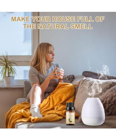 Buy Sedbuwza Jasmine Essential Oil - Pure Organic Jasmine Fragrance Oil for Diffusers Humidifiers Soaps Candles & Perfumes | 0.33 Fl Oz - Buy Online on GoSupps.com